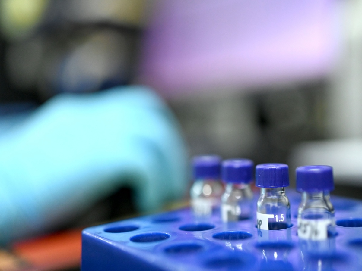 檢測(cè)服務(wù) 